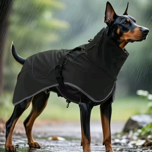 Canaro Velluto Raincoat