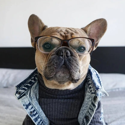 Piccolo Denimino Jacket