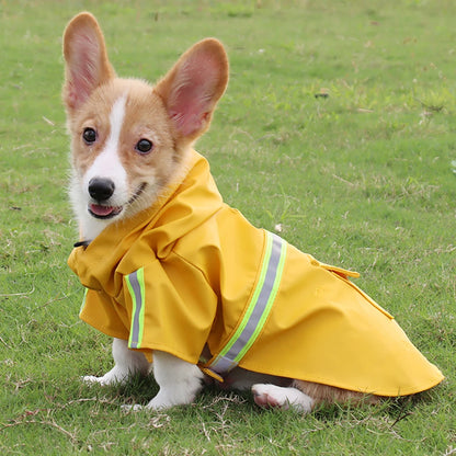 Cane Pioggia Classico