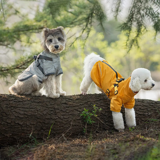 Giacca Forte Pet Coat
