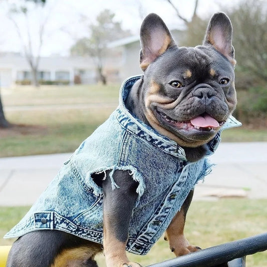 Piccolo Denimino Jacket