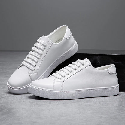 Montevero Artran Oxfords