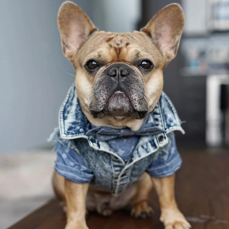 Piccolo Denimino Jacket