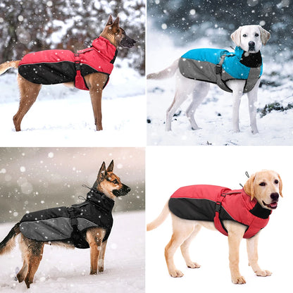 Cani Fortezza Coat