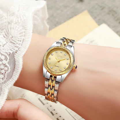 Ferro Luciani Watches