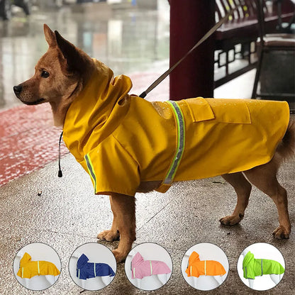 Cane Pioggia Classico