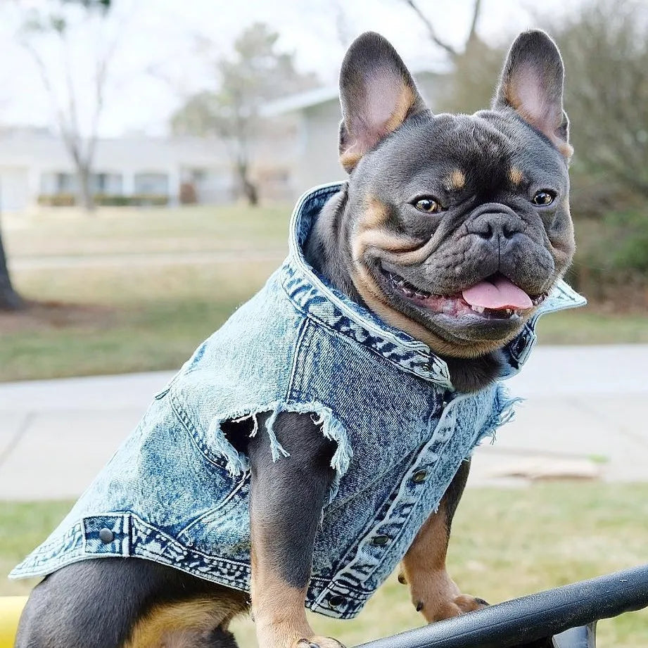 Piccolo Denimino Jacket