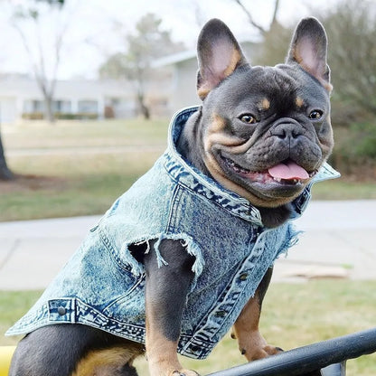 Piccolo Denimino Jacket