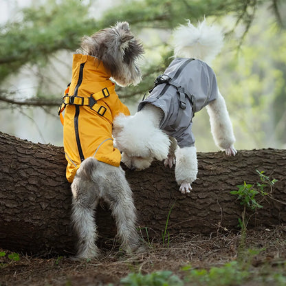 Giacca Forte Pet Coat
