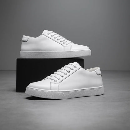 Montevero Artran Oxfords