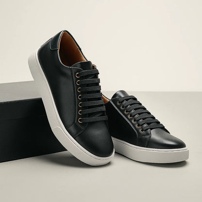 Montevero Artran Oxfords